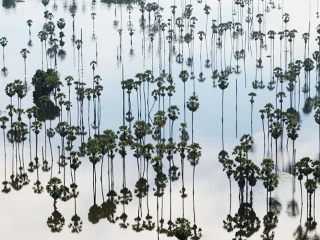 น้ำท่วม-04