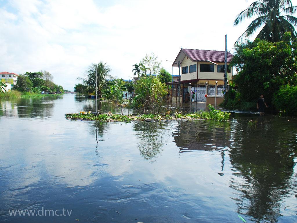 ภาพพื้นหลัง No.1601:รวมภาพทั่วไป