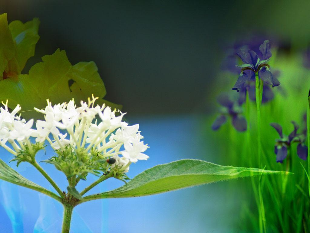 ภาพพื้นหลัง No.1675:ภาพวิว