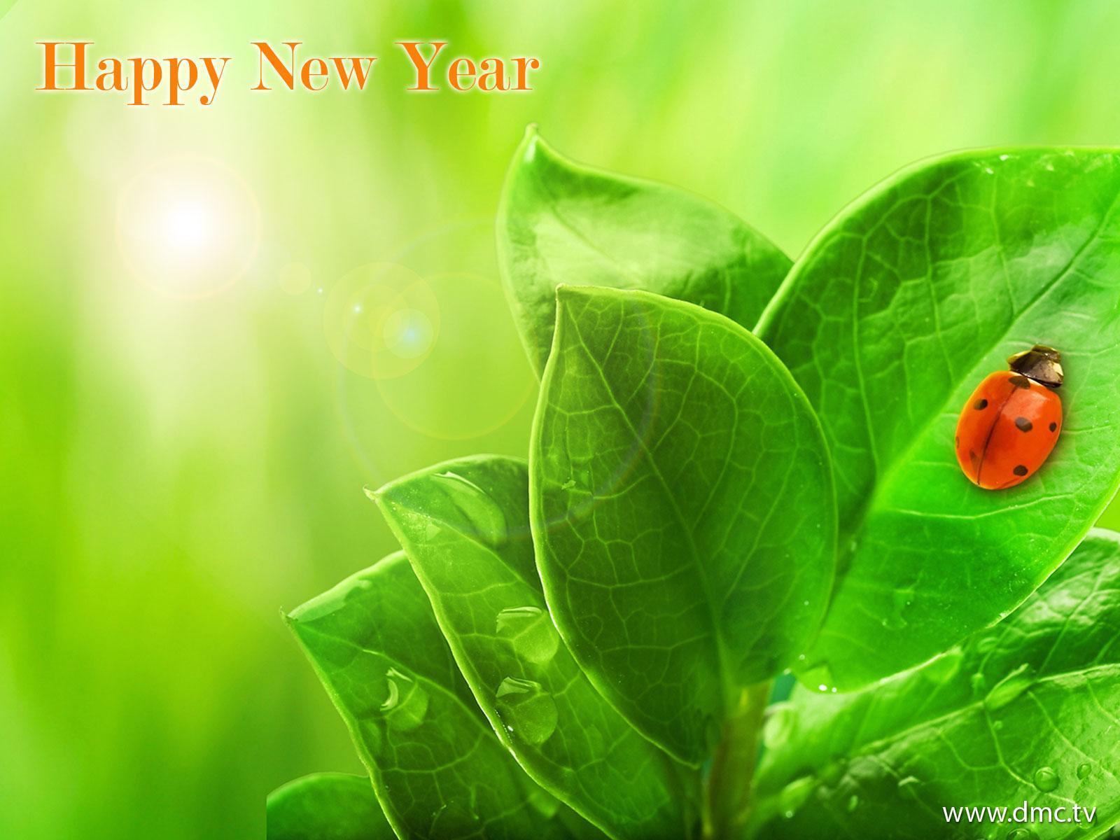 สวัสดีปีใหม่-014