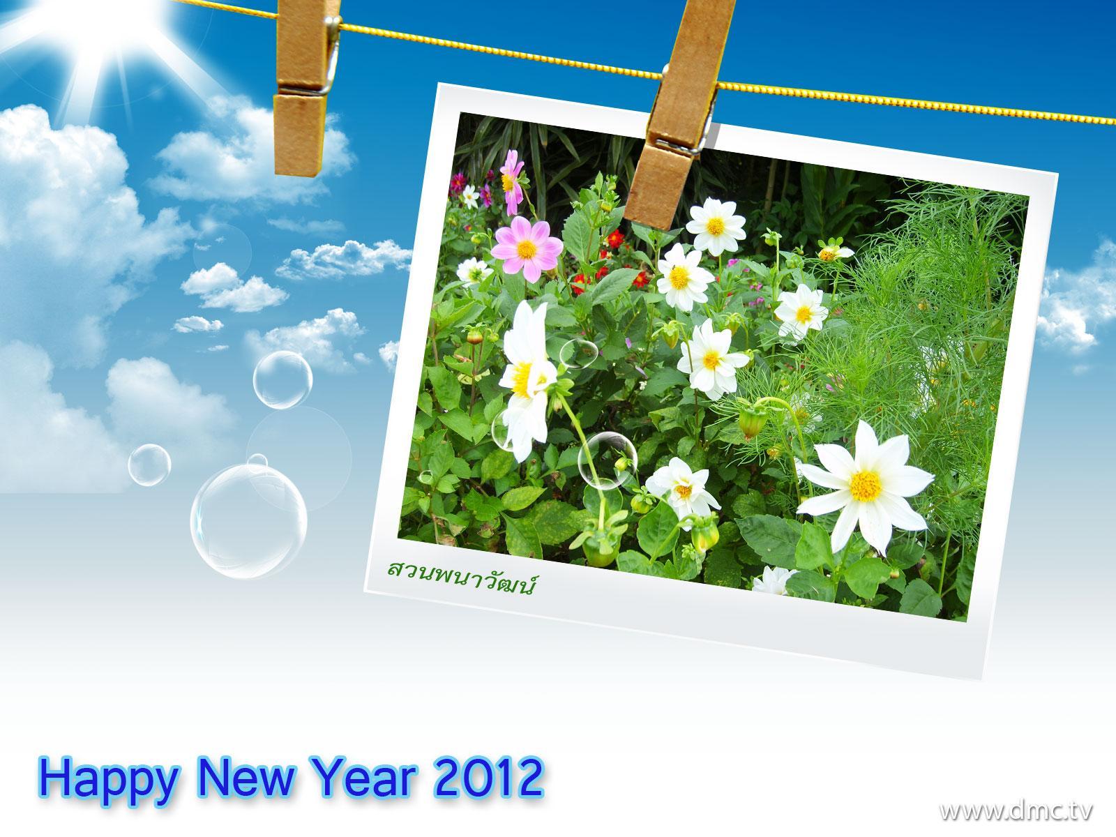 ภาพพื้นหลัง No.1759:ปีใหม่