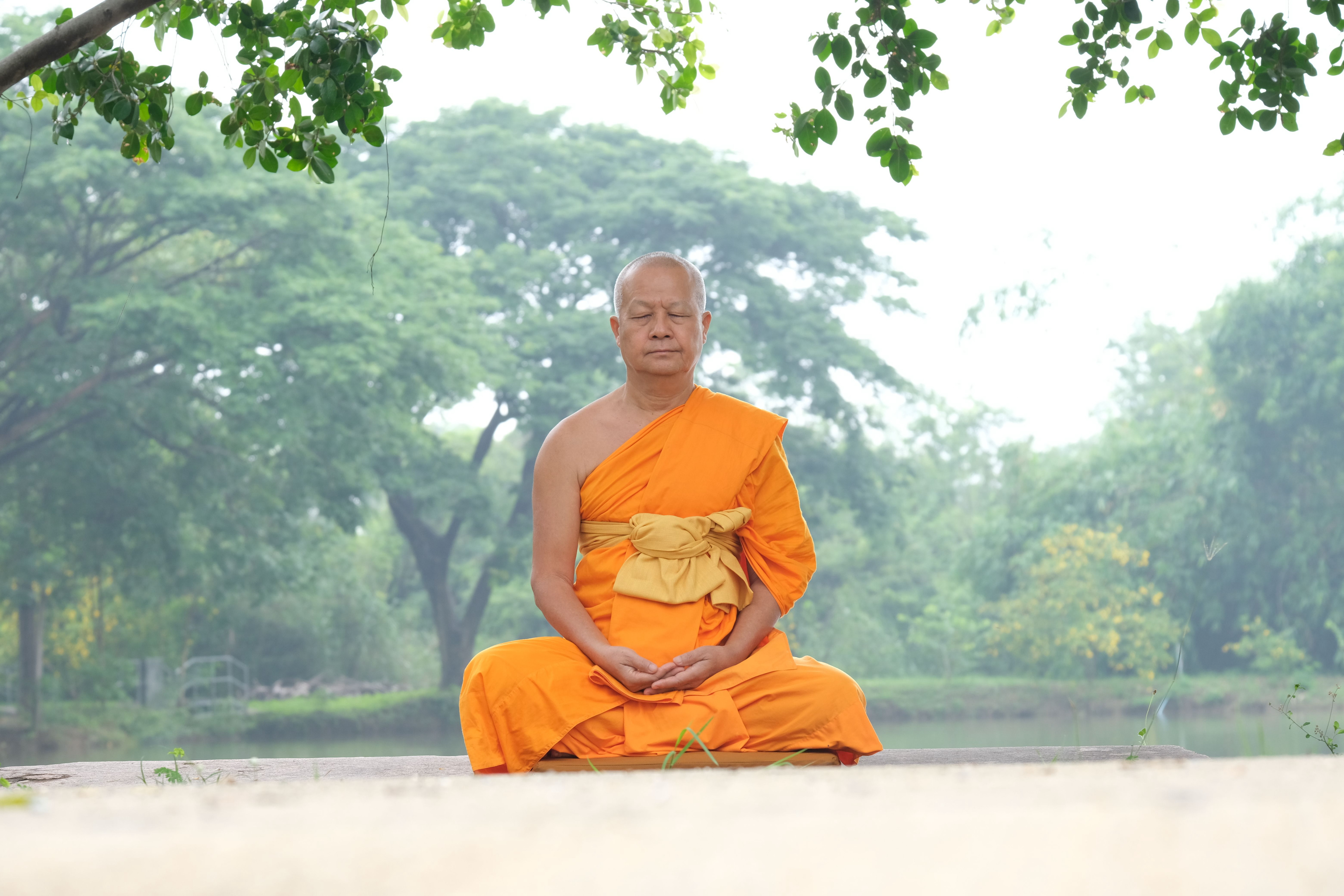 พระสงฆ์กำลังนั่งสมาธิท่ามกลางธรรมชาติ