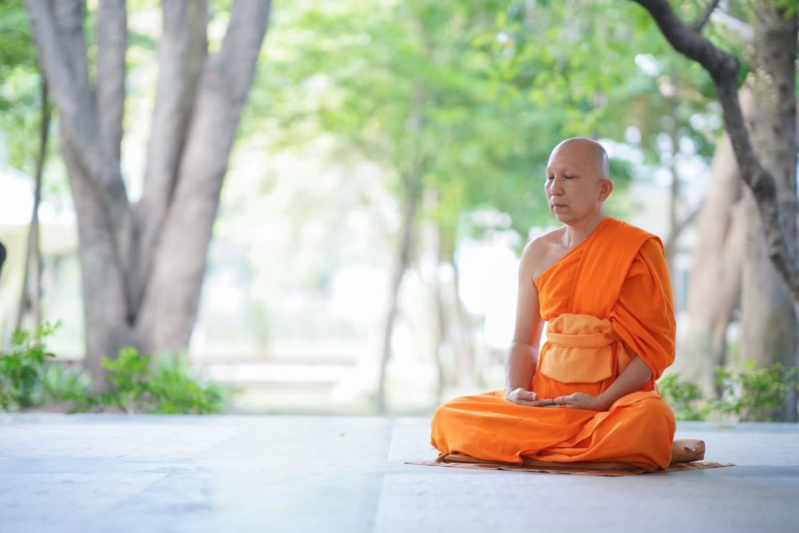 พระสงฆ์นั่งสมาธิกลางธรรมชาติ