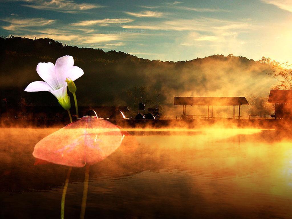 ภาพพื้นหลัง No.2523:ภาพabstract