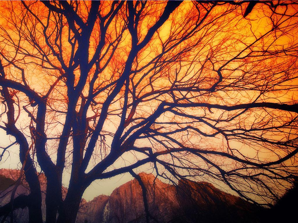 ภาพพื้นหลัง No.2560:ภาพabstract