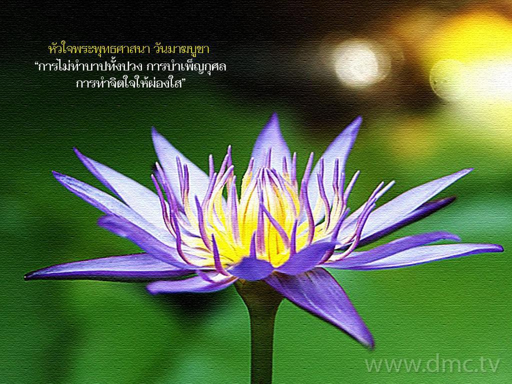 วันมาฆบูชา-ทำจิตให้ผ่องใสไม่กระทำบาปทั้งปวง