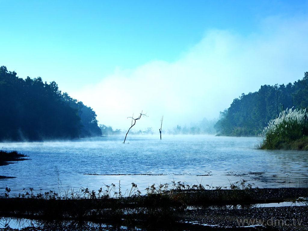 ภาพพื้นหลัง No.3982:ภาพธรรมชาติ