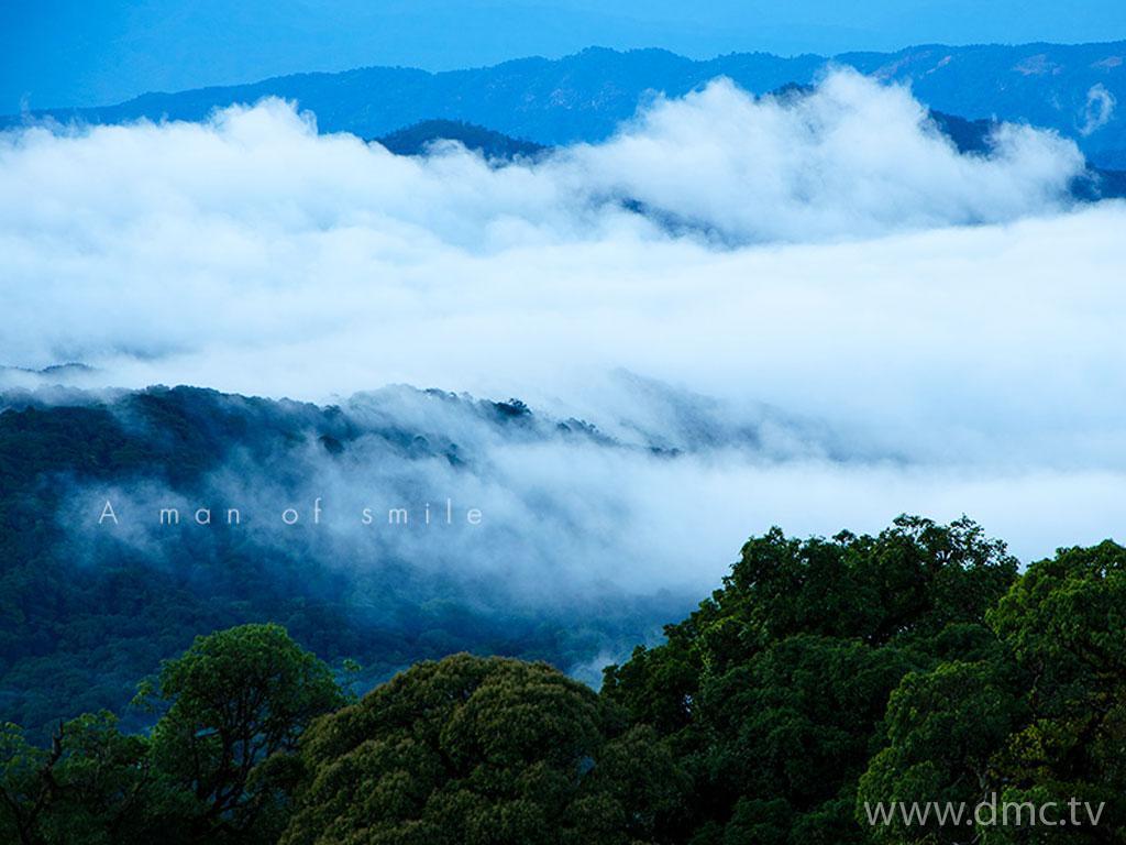 ภาพพื้นหลัง No.4170:ภาพธรรมชาติ
