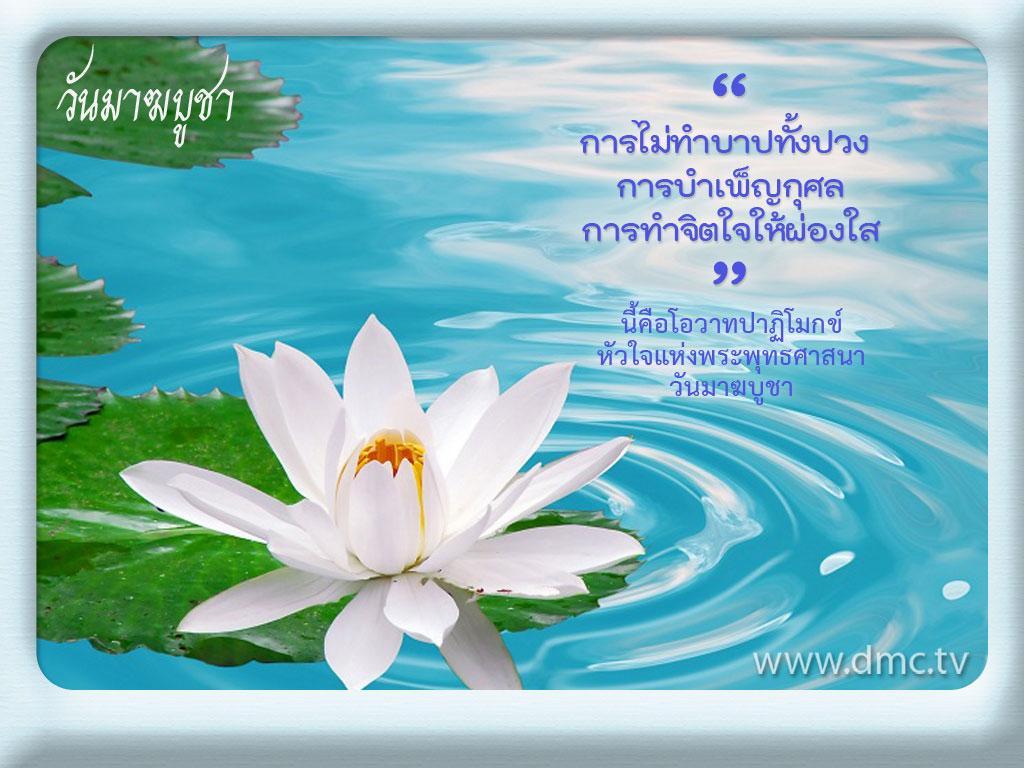 ภาพพื้นหลัง No.4542:วันมาฆบูชา