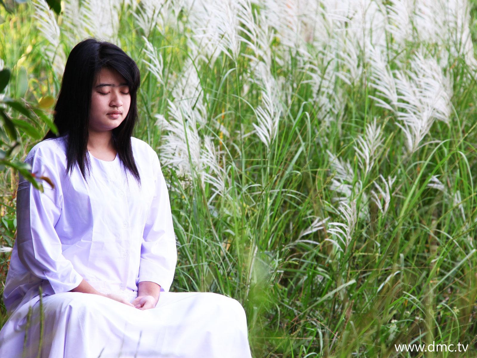 ภาพพื้นหลัง No.617:อุบาสิกาแก้ว 1 ล้านคน ธ.ค.53