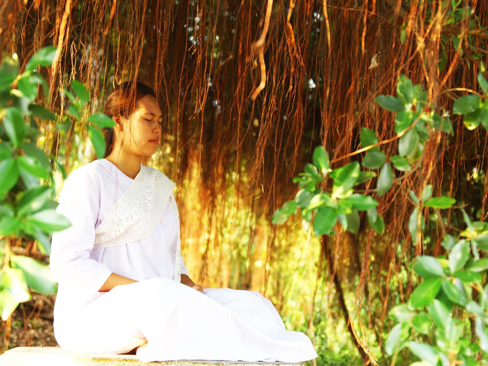 ภาพพื้นหลัง No.630:อุบาสิกาแก้ว 1 ล้านคน ธ.ค.53