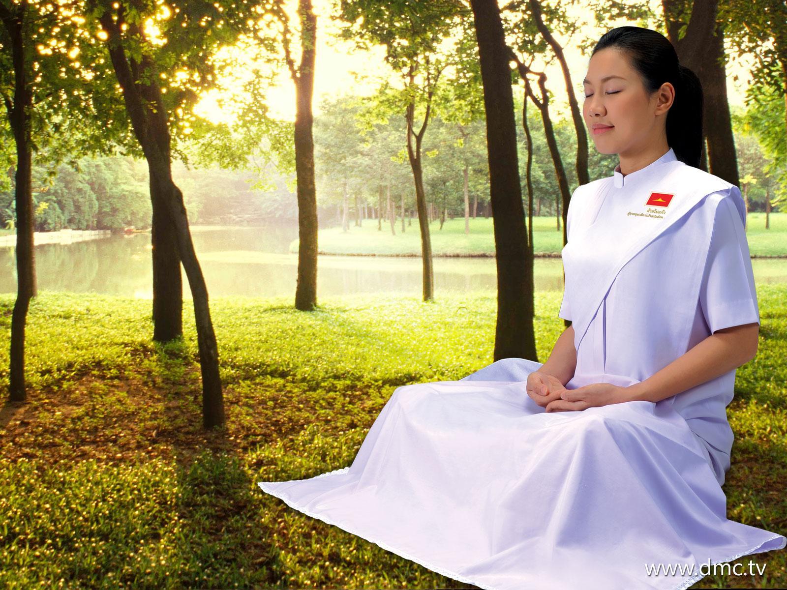 ภาพพื้นหลัง No.706:อุบาสิกาแก้ว 1 ล้านคน ธ.ค.53