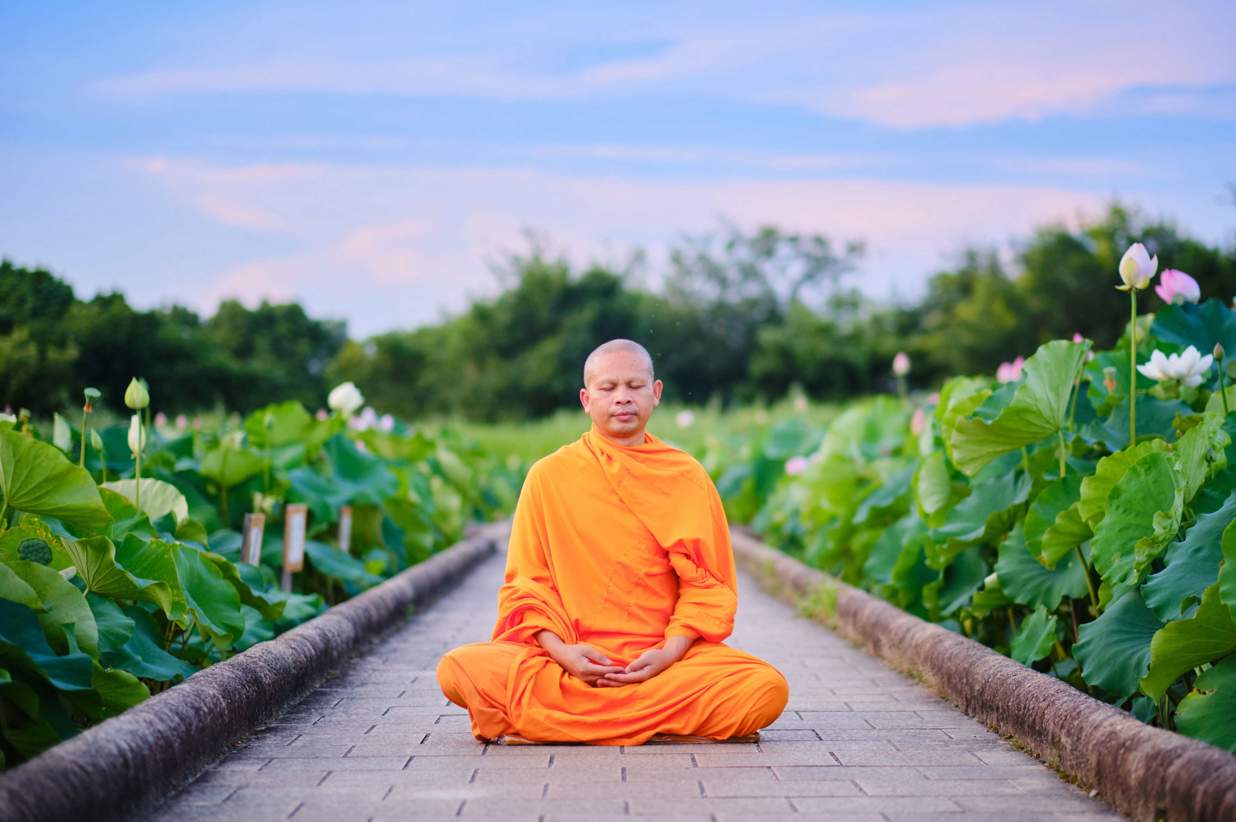 พระสงฆ์นั่งสมาธิ