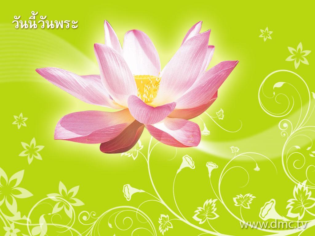 ภาพพื้นหลัง No.933:วันพระ