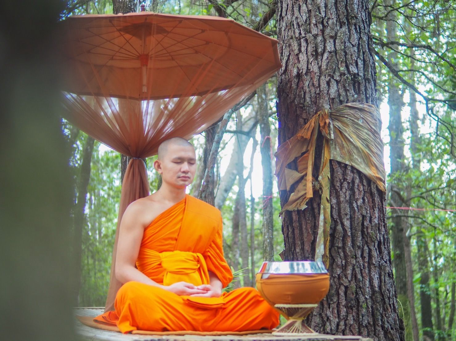 การทำสมาธิในป่า