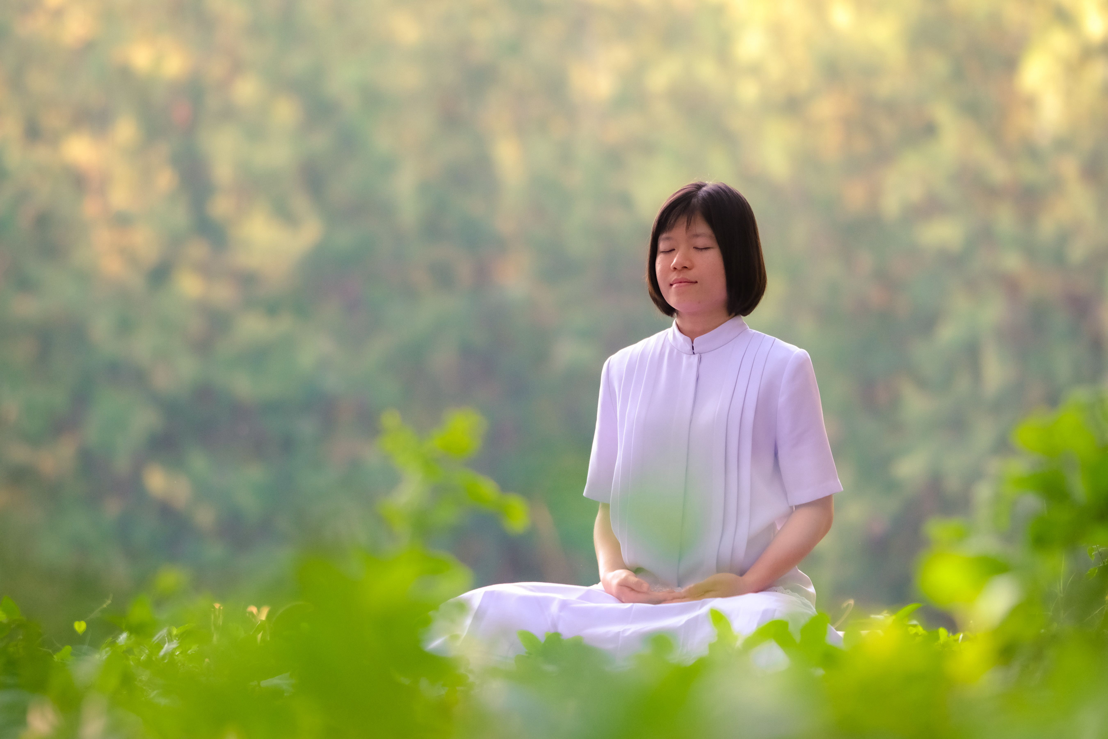 การทำสมาธิในธรรมชาติ