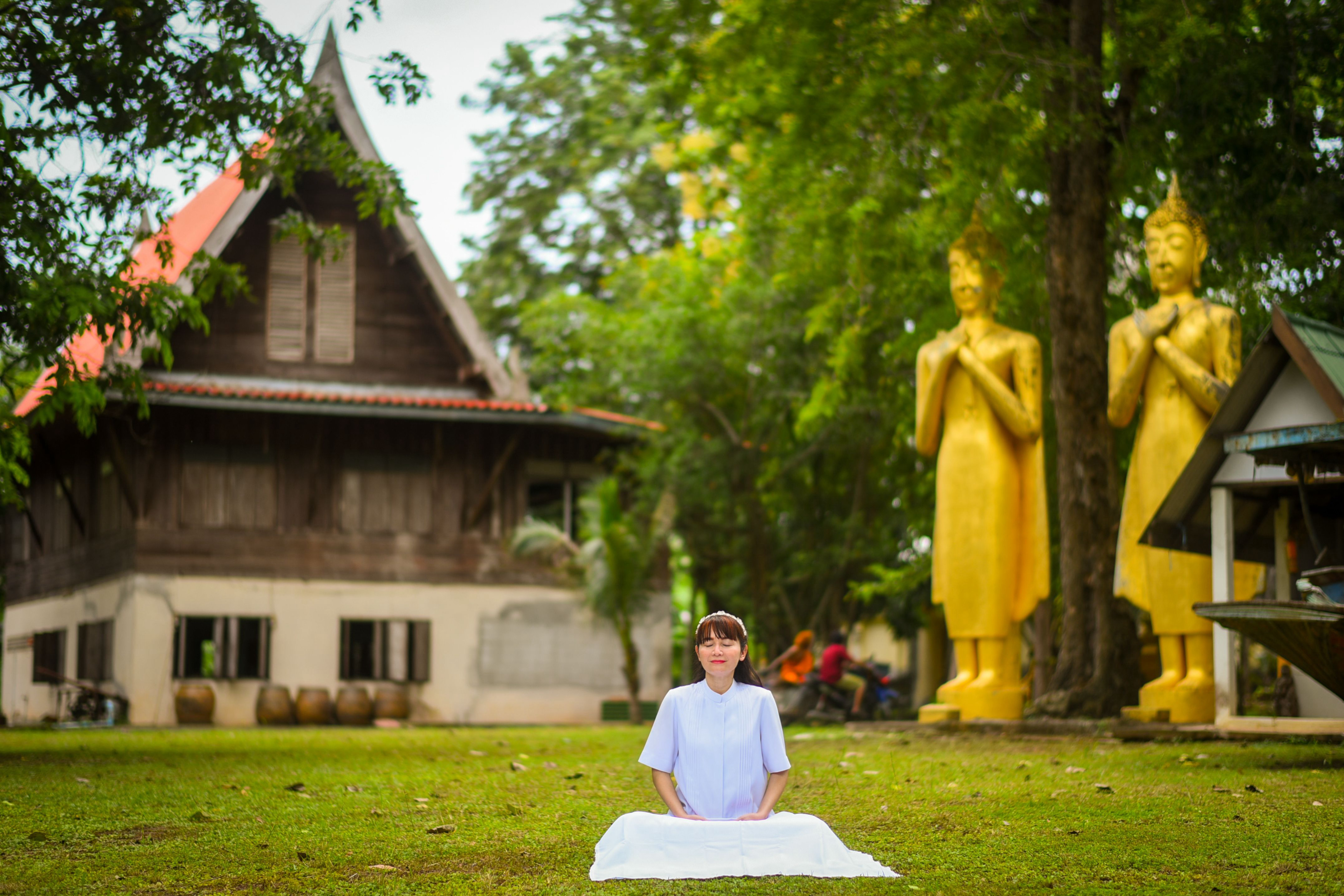 การนั่งทำสมาธิในธรรมชาติ