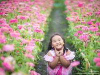 สาวน้อยในแปลงดอกบานชื่นสีชมพู