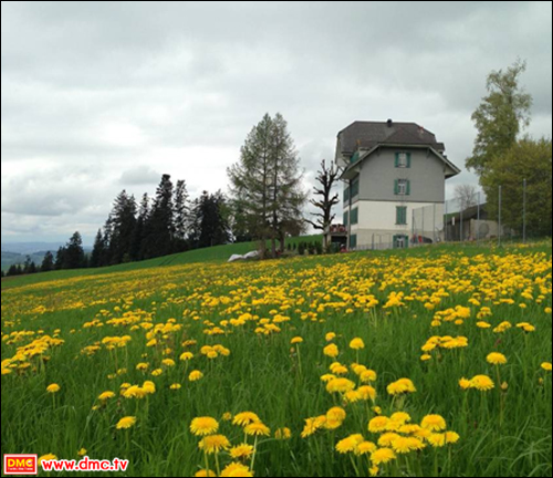 “วัดพระธรรมกายสวิตเซอร์แลนด์” บนเนินเขาสูง กับความงดงามในช่วงหิมะตกปกปุย และช่วงดอกไม้ออกดอกบานสะพรั่ง