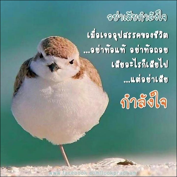 บทความให้กำลังใจ ตอนที่ 4