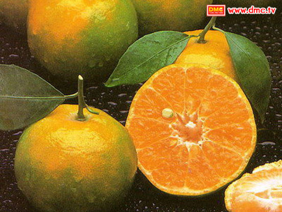 ส้มผิวทอง ส้มสวย หวานนุ่ม คุณภาพดี