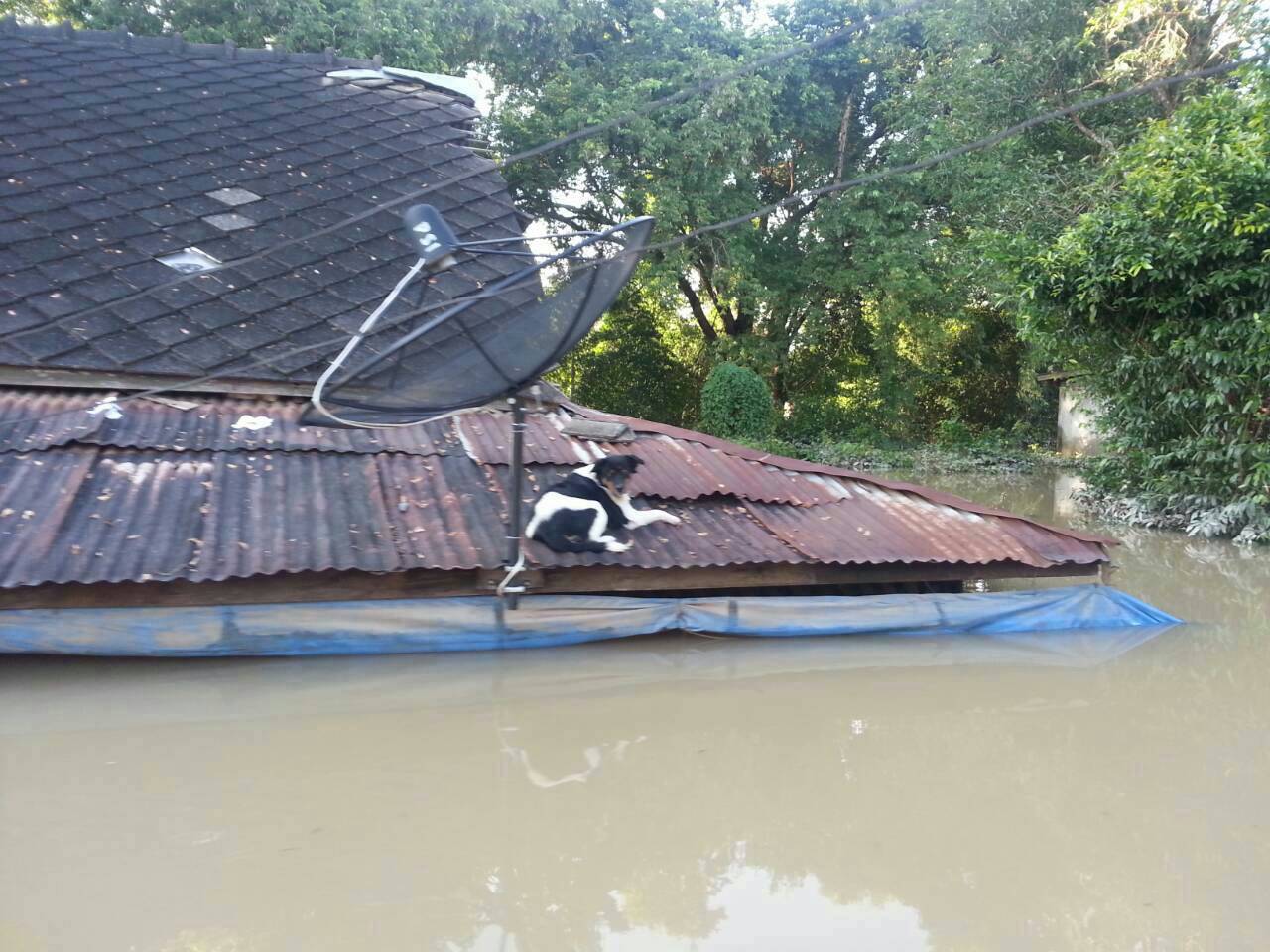 ข่าวน้ำท่วมปราจีนบุรี