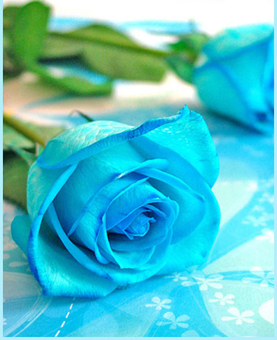 ตัณหาคือความไม่รู้จักอิ่ม อยากได้ไม่มีที่สิ้นสุด ตัณหาคือความไม่รู้จักอิ่ม อยากได้ไม่มีที่สิ้นสุด