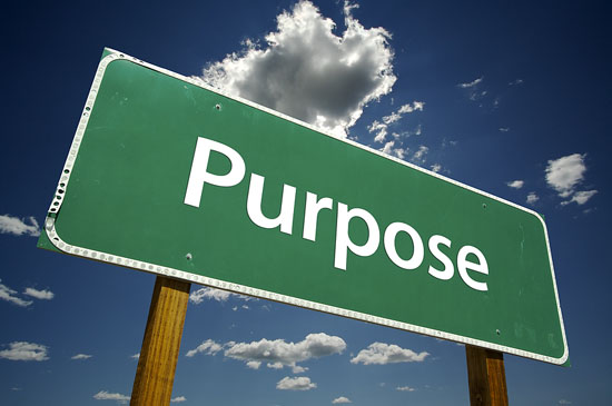 Purpose = จุดประสงค์