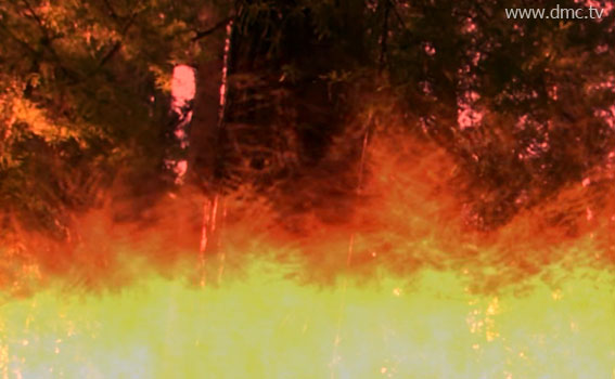 ภัยธรรมชาติจากไฟป่าเผาไหม้ลุกลามอย่างน่ากลัว