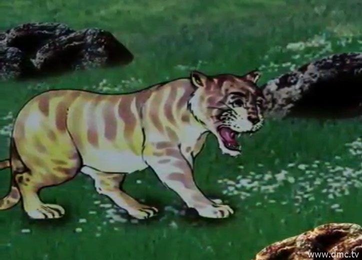 เจ้าเสือเหลืองหิวโซเดินตามแม่แพะหมายมั่นว่าแม่แพะนั้นจะต้องตกเป็นอาหารของตน