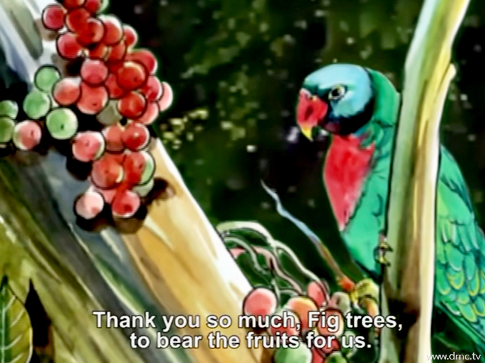 นกแขกเต้าได้อาศัยกินผลมะเดื่อเป็นอาหารในการดำรงชีพ