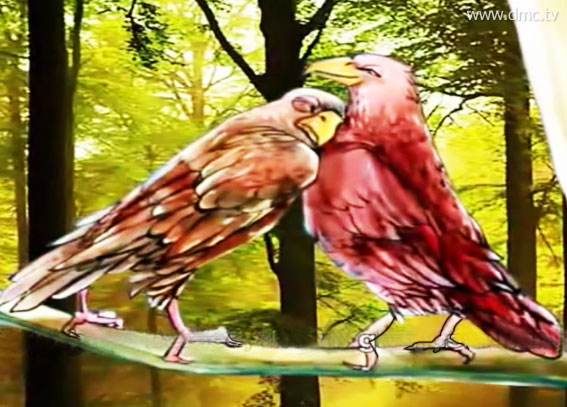 นกเหยี่ยวคู่รักสองตัวมาอาศัยทำรังบนต้นไม้ใหญ่ใกล้ริมบึง