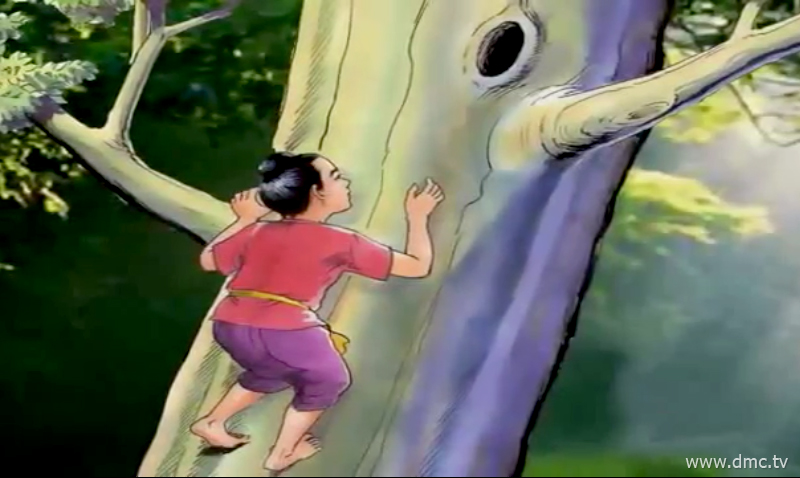 เด็กน้อยลูกพ่อค้าได้ปีนขึ้นไปบนต้นไม้ใหญ่เพราะว่าต้องการลูกนกไปเลี้ยง