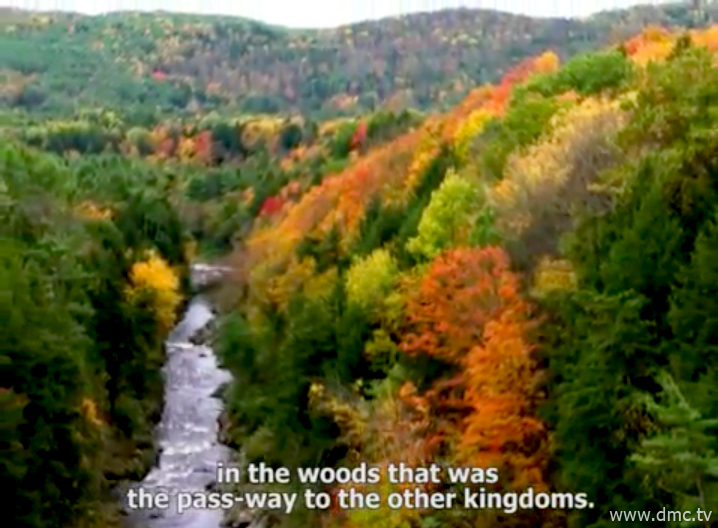 ผืนป่าอันกว้างใหญ่แห่งแคว้นกาสี
