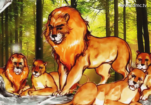สิงโตมโนชะอยู่รวมกันในถ้ำทั้งหมด 5 ชีวิต