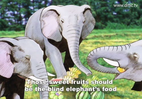 ช้างบริวารได้กินผลไม้ของพญาช้างในระหว่างทางจนหมดสิ้น