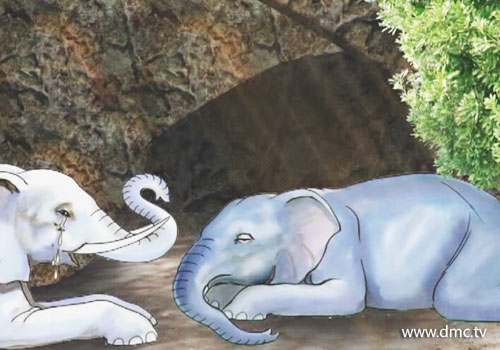 เมื่อแม่ช้างสิ้นอายุขัยพญาช้างก็เข้าถวายตัวรับใช้พระราชา