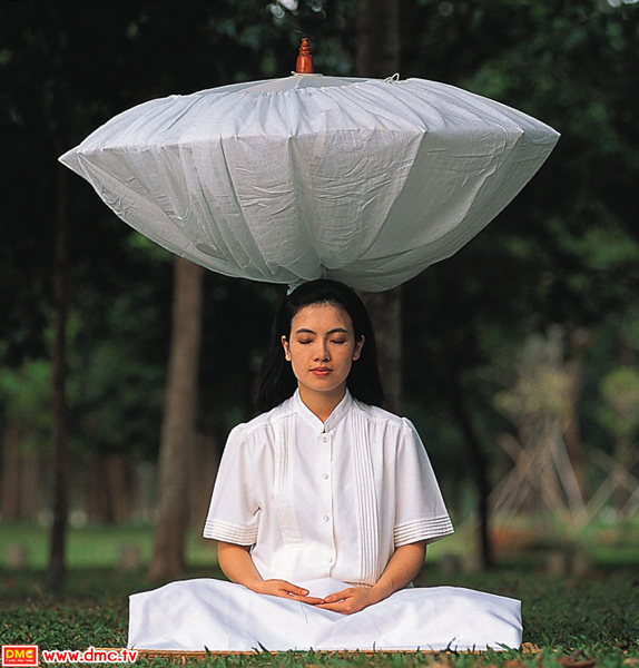 Safeguarding Our Mind through Meditation