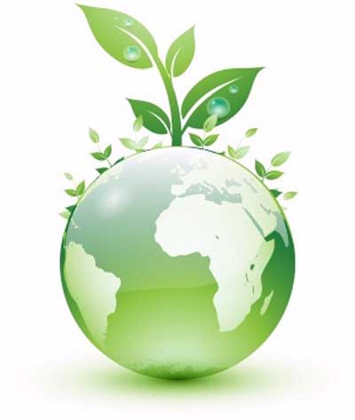 environment