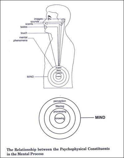 The Relationship between the Psychophysical Constituents in the Mental Process