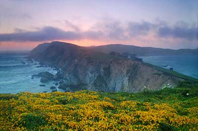 Our natural surroundings
