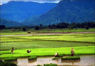 That the practical needs of life are adequately met i.e. somewhere to live, enough food