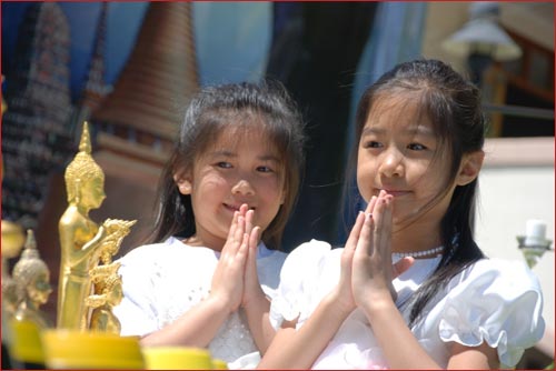 Try to reflect and understand the meaning of the Dhamma