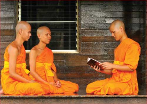 Dhamma, is the food for the mind