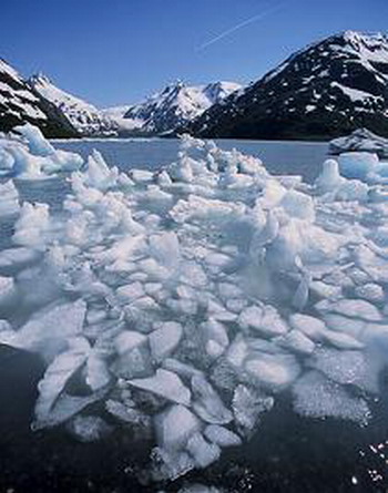 น้ำแข็งขั้วโลกละลาย